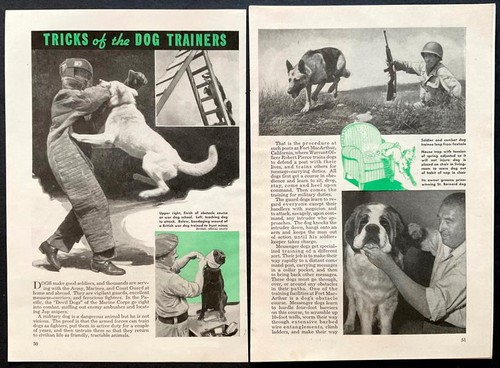 Cani guerra trucchi - guerra, "trucchi