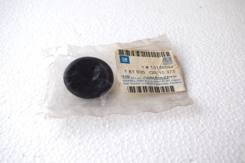 Tampone portellone bagagliaio - portellone,