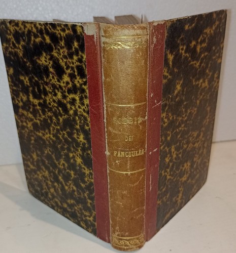 Bibbia dei fanciulli tradotta
