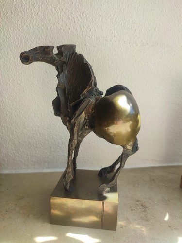 Nag arnoldi cavallo - arnoldi,,