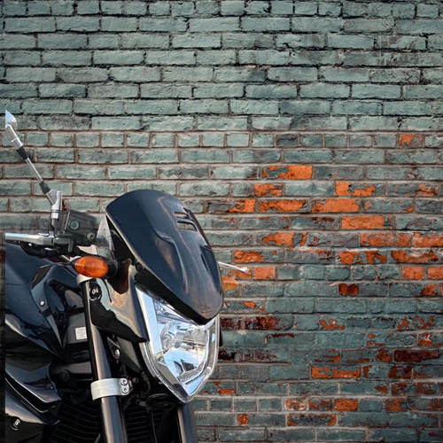 Yamaha fz1 cupula wind screen - cupula,