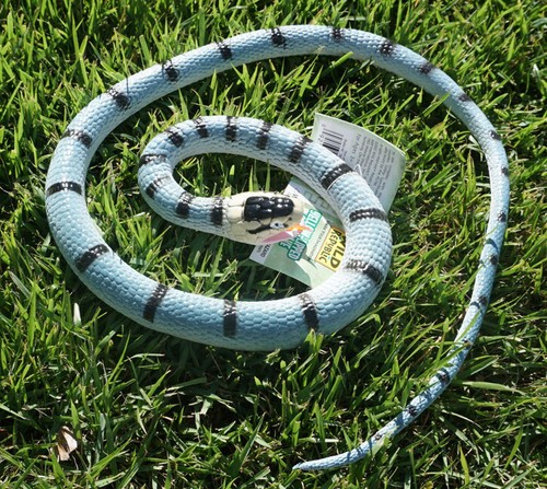 Serpenti gomma - serpenti,