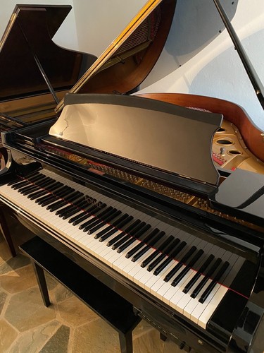 Silent pianoforte coda - pianoforte, a
