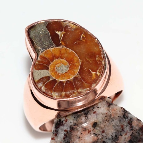 Anello fossile ammonite - , uomo