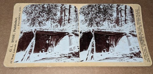 Rose stereoview indiano - gl,