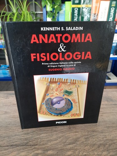 Saladin anatomia - "saladin",