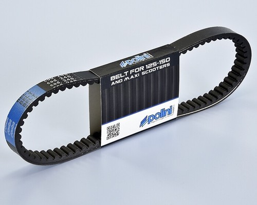 Cinghia trasmissione variatore - cinghia,