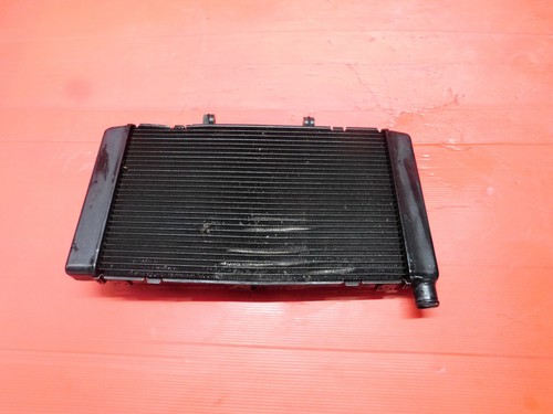 Radiatore acqua honda hornet - radiatore,
