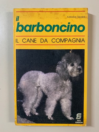 Barboncino cane da - il, il