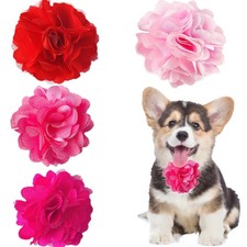 Bipy centimetri rosa - centimetri,