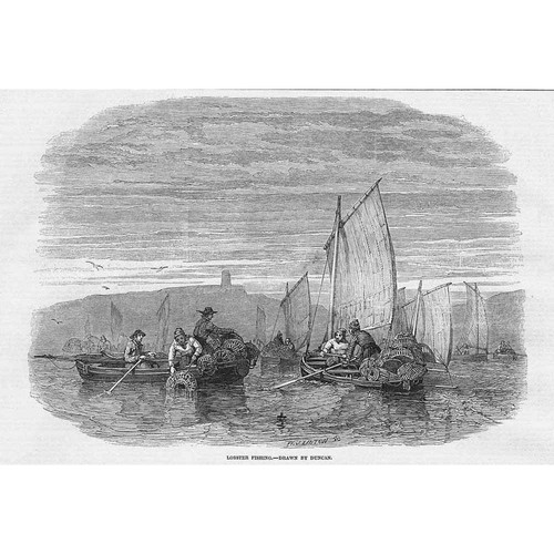 Pesca all aragosta - pesca, all'aragosta