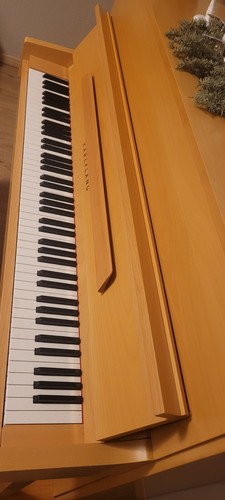 Pianoforte steinway karl lang - karl,