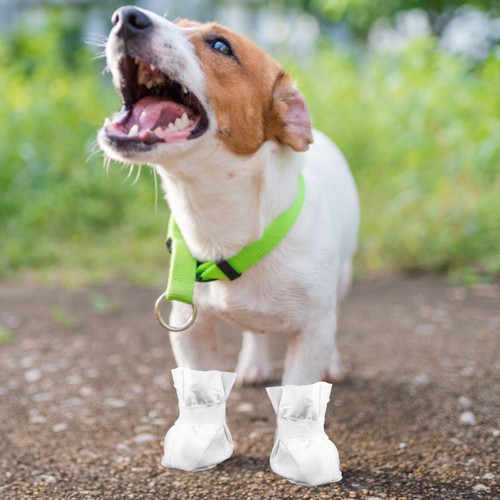 Pezzi scarpe cane - ,