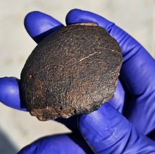 Meteorite non classificato NWA
