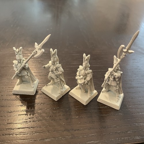 Warhammer alti elfi - warhammer, guardia