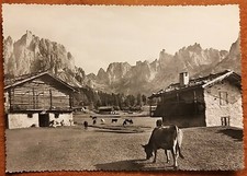 Primiero (Trento). Pascoli ai