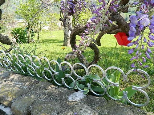 Bordura per giardino piante - bordura,
