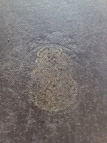 Antico libro preghiere 1894 - antico,