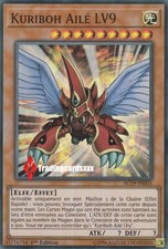 ♦Yu-Gi-Oh!♦ Kuriboh Ailé