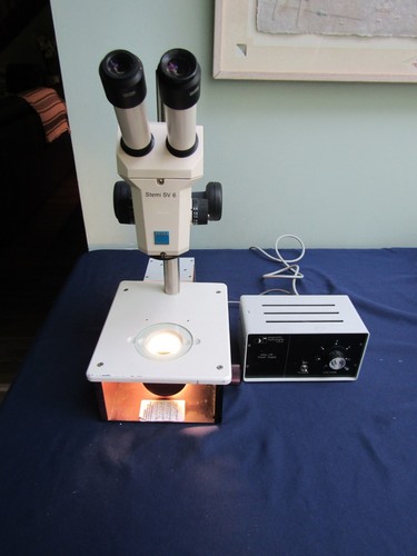 Microscopio zoom stereo - stereo, carl