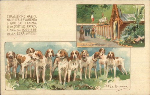 Esposizione allevatori animali - esposizione,