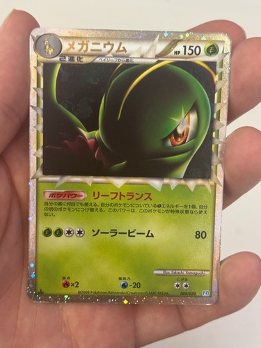 Pokemon japanese meganium - japanese,