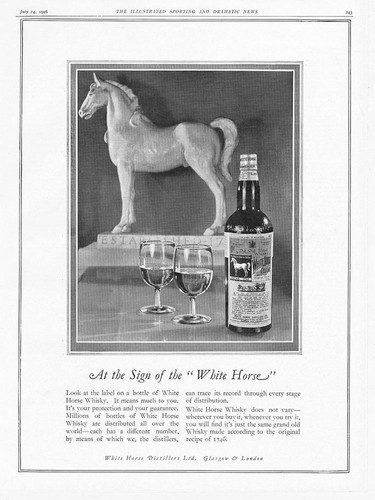 White horse scotch whisky - horse,