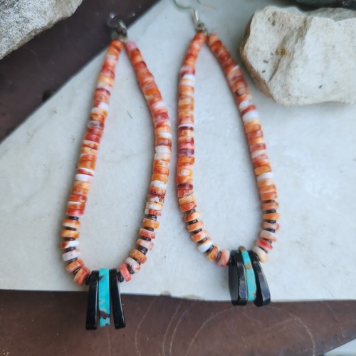 Santo domingo pueblo native - santo,