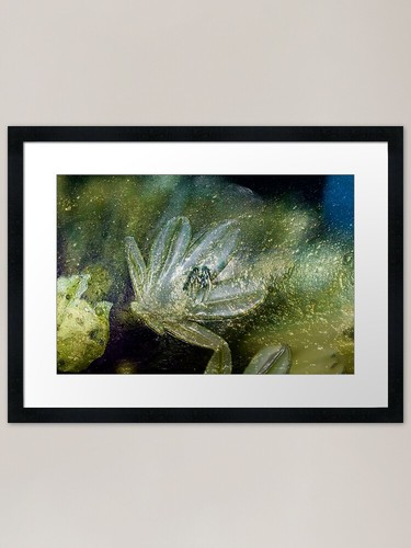 Quadro stampa artistica - quadro, con