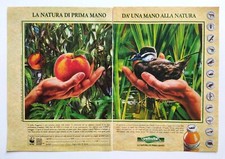 Pubblicita'  Ferrero Danone