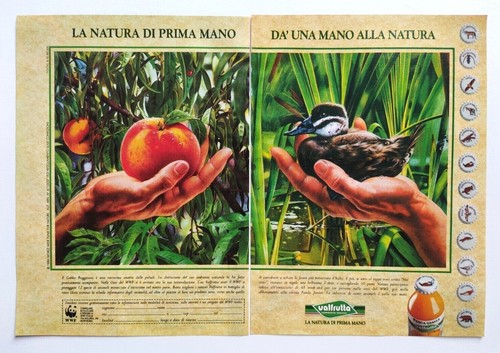 Pubblicita ferrero danone - pubblicita',