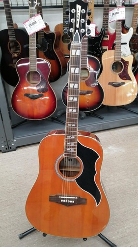 Eko ranger eq chitarra - vi, vr