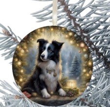 Border Collie Dog Hanging