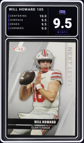 2025 sage silver - 2025, next