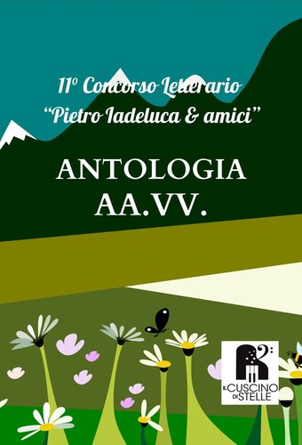 Libro antologia concorso - libro,