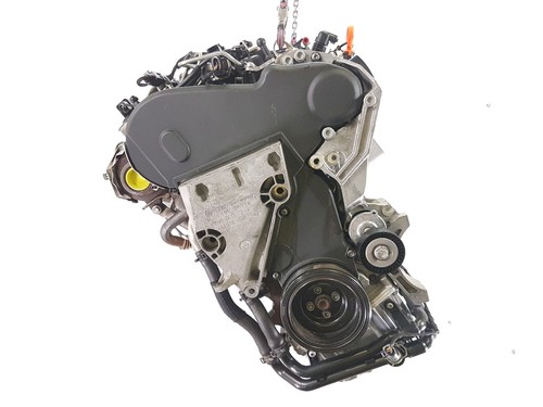 Motore cay volkswagen - motore,