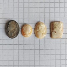 Cammeo Camei Cameos Conchiglia