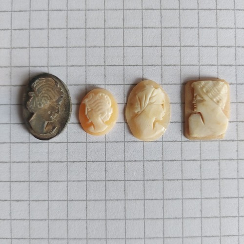 Cammeo camei cameos conchiglia - cameos,