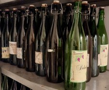 Stock 40 bottiglie in vetro vuote con tappo a clip x chiusura ermetica