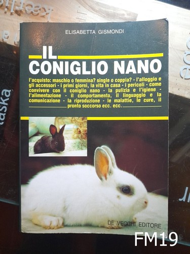 Coniglio nano gismondi - di,