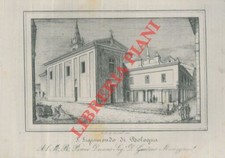 Bologna - Stampe - Corty - S