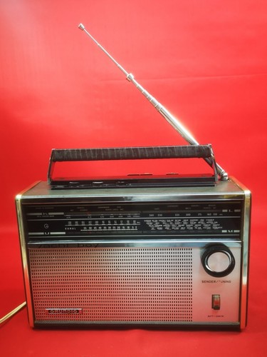 Radio multibanda grundig - ,