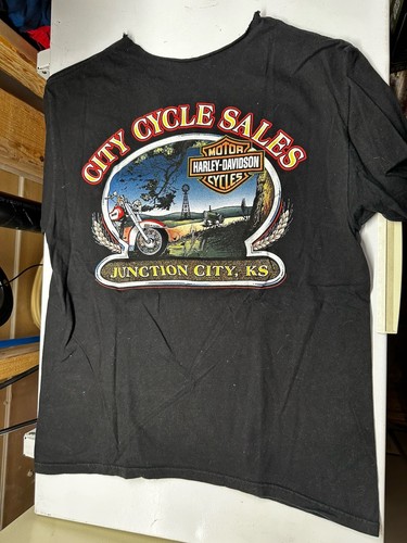 Vintage harley davidson flame - davidson,