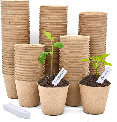 100pcs 8cm vasi per semi - 100pcs,