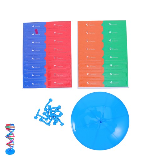 Dna science kit modello - dna,
