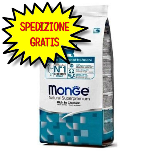 Monge gatto crocchetta kitten - monge,
