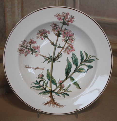 Villeroy boch b botanica - v&b,