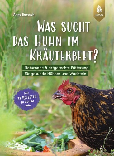 Sucht pollo im - sucht, il