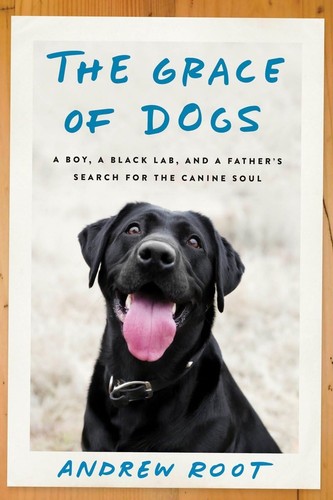 The grace dogs boy - a, a