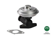 Valvola EGR 91669 NTK per